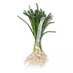 Ajo tierno Mercadona