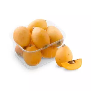 Precio Níspero Mercadona