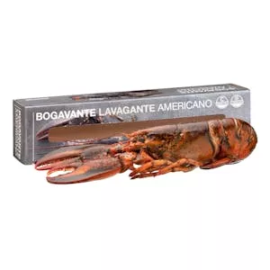 Histórico Precio Bogavante americano mediano crudo Hacendado