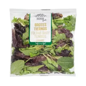 Ensalada mezcla brotes tiernos