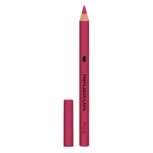 Histórico Precio Perfilador de labios Deliplus 05 fresa