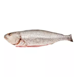 Precio Corvina limpia con cabeza Mercadona
